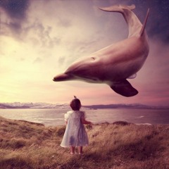 Arseniy Trofim - Dolphin Dream