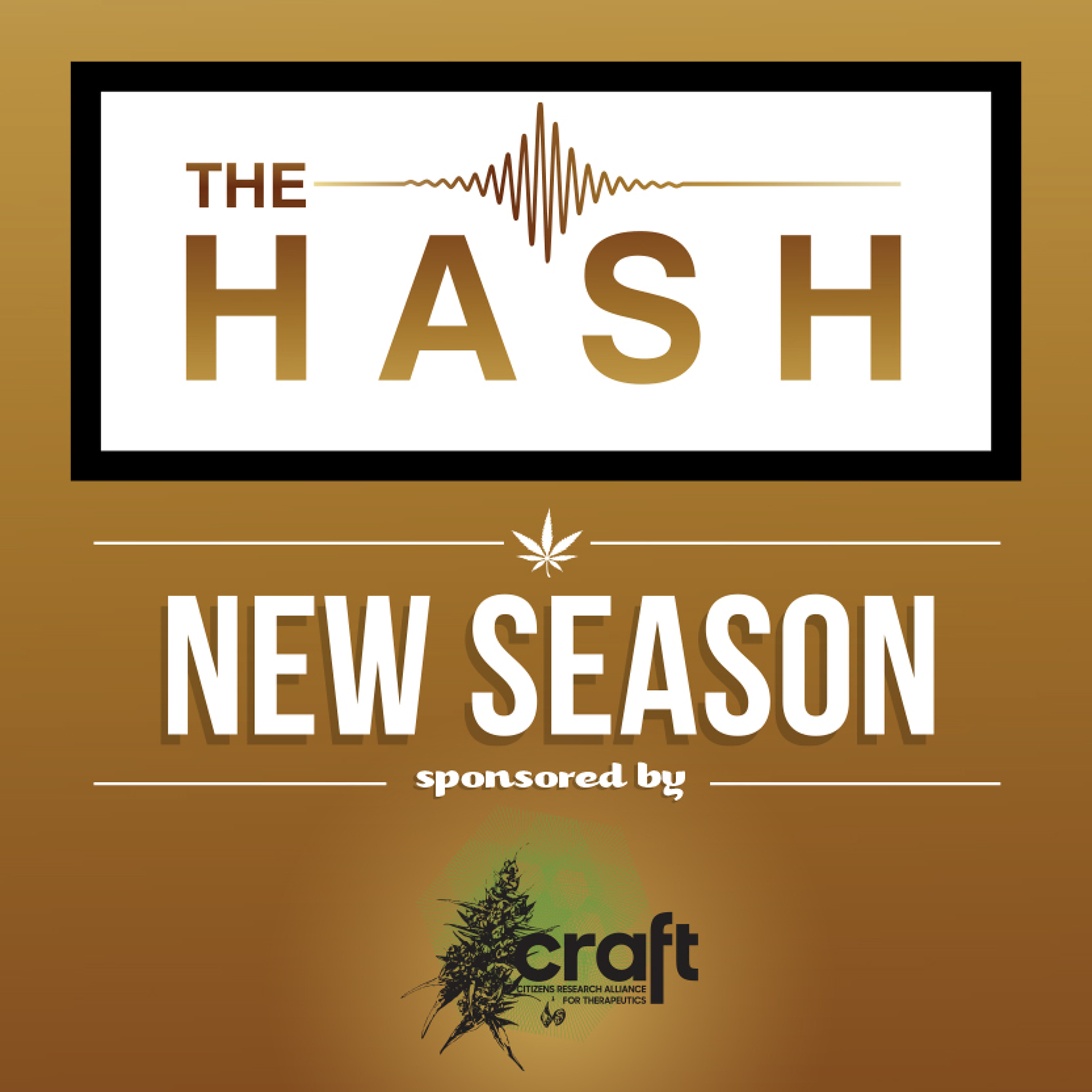 The Hash