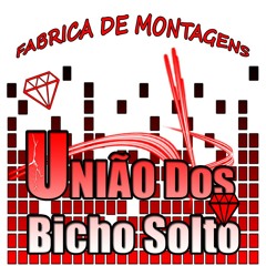 MTG - SUCESSAGEM DA UNIÃO DOS BICHO SOLTO ♪  ( DJ MN DA RIODADE )