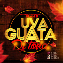 Uva Guata - Remix DJ Tona - Plan B
