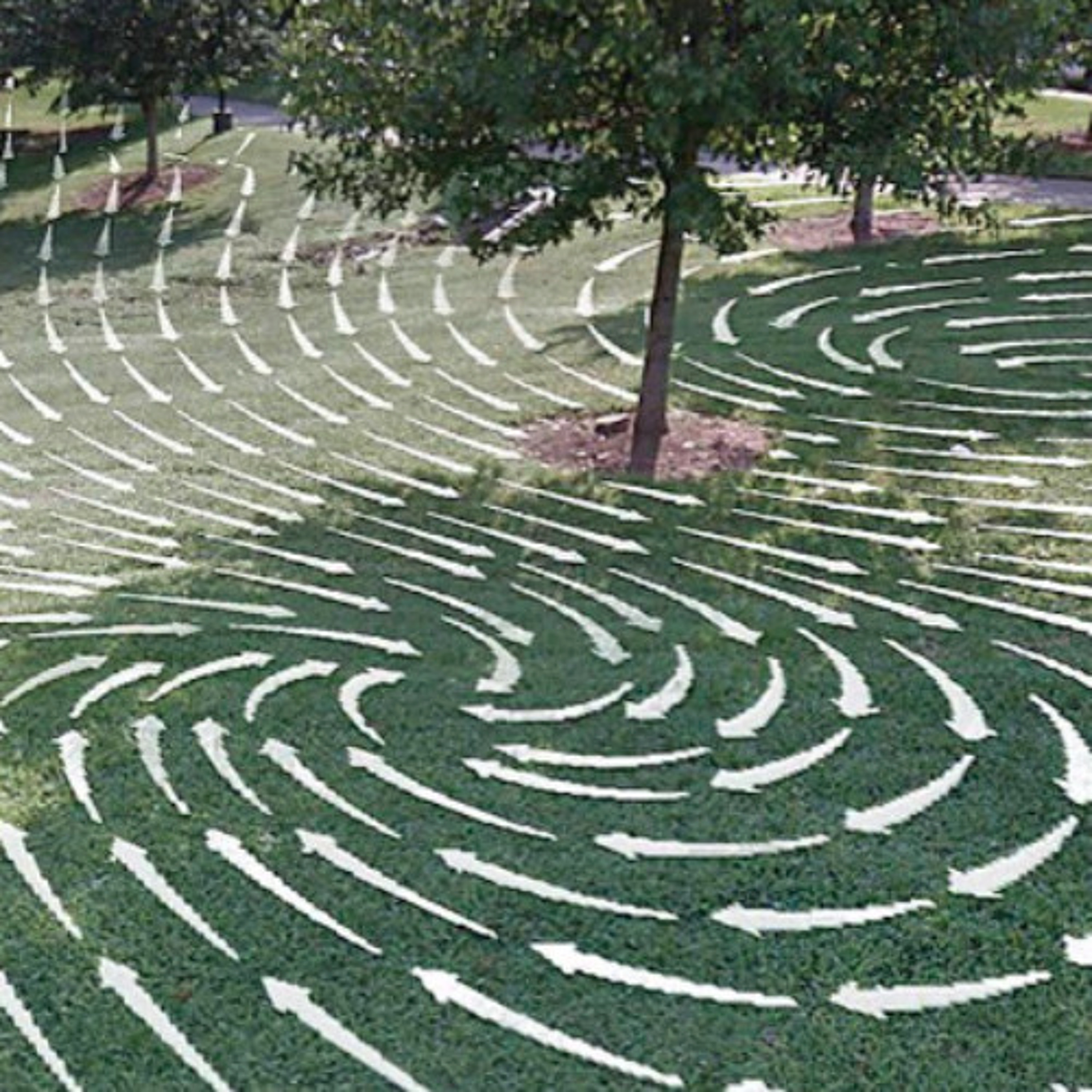 Field Experiment - Mark Wentzel - Flow Fields episode artwork