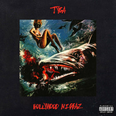 Tyga - Hollywood Niggas (Remix)