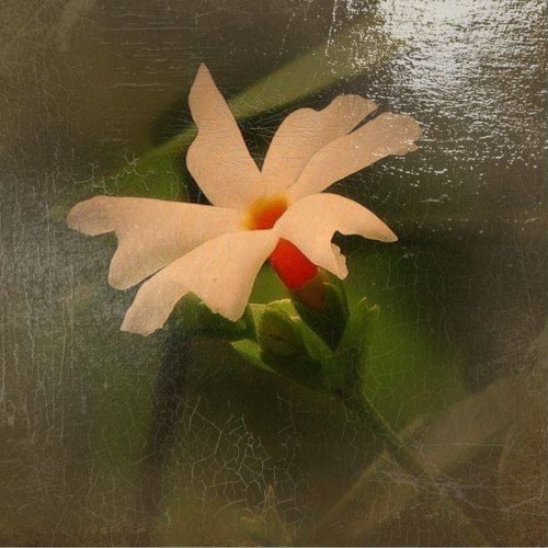 Stream Bengali Baul Songs Lalon Geeti By Sheuly Haque Listen Online