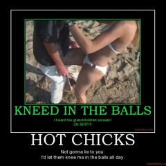 Shelf Life - Hot Knee