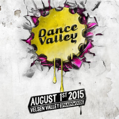 Festival Radio 2015