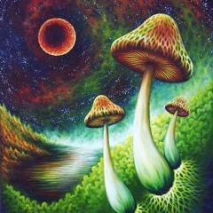 Dj Progolus Mushroomselfgrow mix (145bpm)