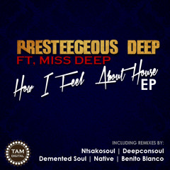 How I Feel About House (Ntsakosoul's Dub Mix)[SAMPLE]