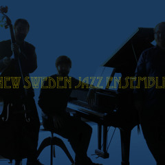 New Sweden Jazz Ensemble - Demo