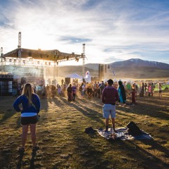 Sonic Bloom 15