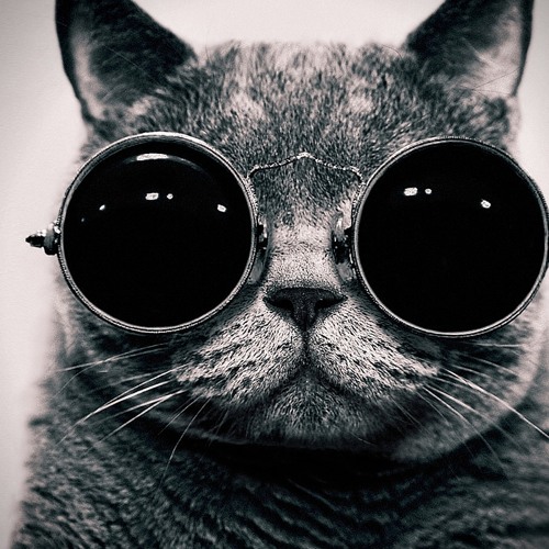 Tech-Deep-Melodic-Minimal  House