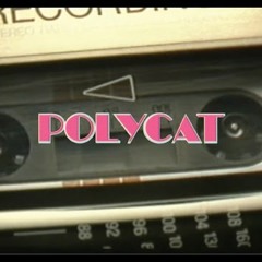 POLYCAT - Chapter 3 พบกันใหม่(So Long) - CoverBynidnoynoii