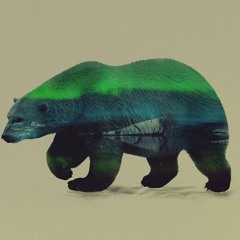 Rain Fall - L'Ours Blanc ( Prod : Greenfinch )