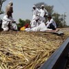 Rajasthan Govt offers to hold talks with agitating Gujjars