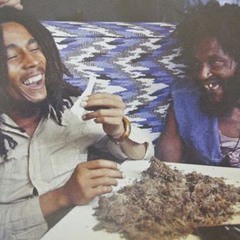 محمود الحسيني شيطان بيقول لعبد