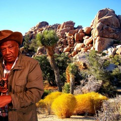 Tag Team - Lord Sassa Frass & Col. Desie