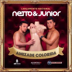 Amizade Colorida - Netto & Junior (single 2015)