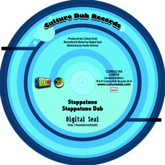 steppatune dub mix ( Digital Seal )