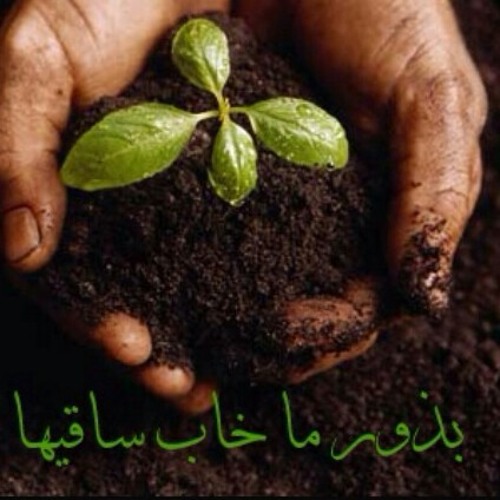 توكيداتي قبل النوم