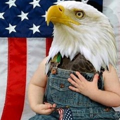 Memes the size of FREEDOM