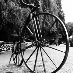 Bicykl dream
