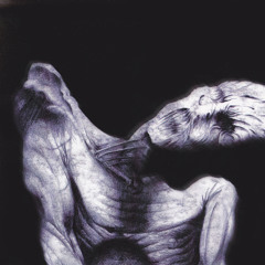 Malign - The Eternal Corridor