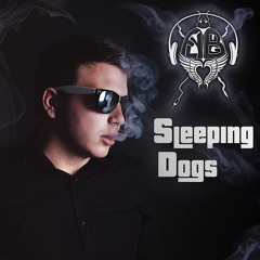 Flybug - Sleeping Dogs