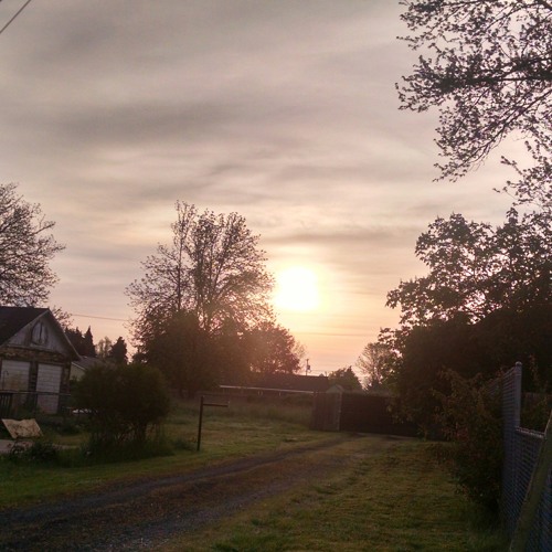 Stream From The Northland by poop scoop maloop Listen online for free