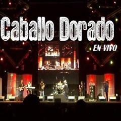 VAQUEROS DE RODEO EN VIVO