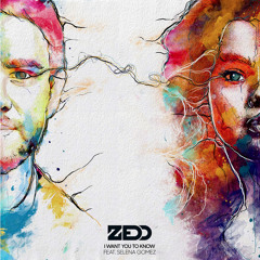 Zedd - I Want You To Know ( Mr. Echo Remix )