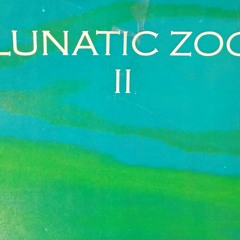 Don't Call Me Stupid