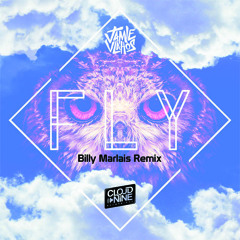 Jamie Vlahos - Fly (Billy Marlais Remix)