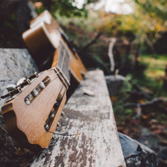 Been A Son(Nirvana demo cover)