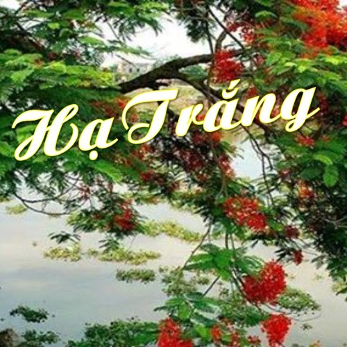 HẠ TRẮNG -Sáng tác: Trịnh Công Sơn  -Trình bày: Lệ Thu