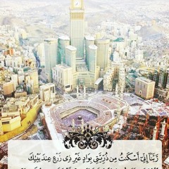 سورة ابراهيم وديع اليمني