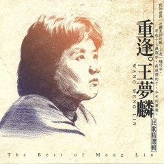 王夢麟﹣木棉道，1980