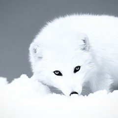 Love :)