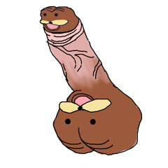 The Titits - Itu Tititku (cover)