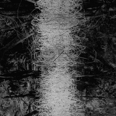 schäferhund (instrumental)