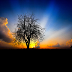 OpostoLado - Sonhar Não Custa Nada