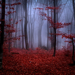 Red forest