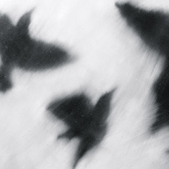 Tieline (Demo)