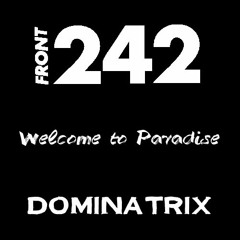 11 - Front 242 - Welcome to Paradise (EBM Front Rhein Main Remix)