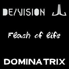 07 - DeVision  - Flash of Life (Kernfusion Remix)
