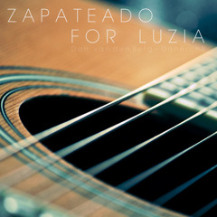 Zapateado for Luzia | by Dan van den Berg