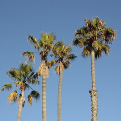 SUMMER PLAYLIST