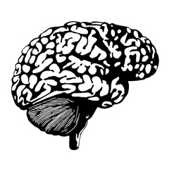 Upcoming Beats And Ideas