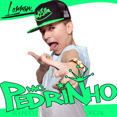 MC's Pedrinho & Pretinho JD - Mestreadamento Da Piriquita ( DJ Lorran )