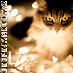 En sus marcas, listos, fuera