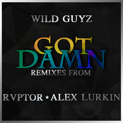 Wild Guyz - Got Damn (Original Mix)