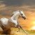 Artwork for "Iron Horse - Cavallo Di Ferro" di Giacomo Palumbo